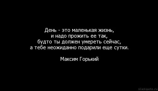 Живите сегодня как последний. Жизнь надо прожить так цитаты. Жить нужно так цитаты. День это маленькая жизнь. Жить одним днем цитаты.