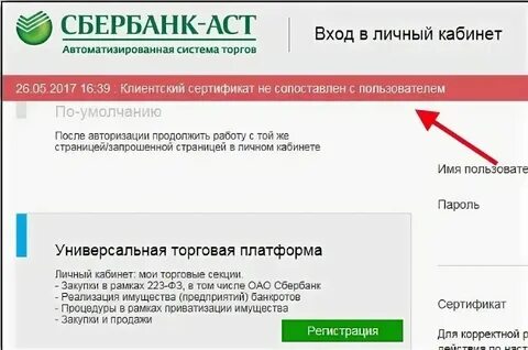 Пользователь аст