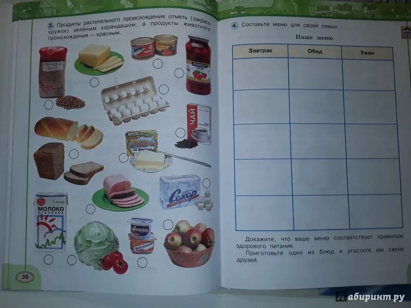 Утро рабочая тетрадь. Продукты растительного происхождения отметь. Окружающий мир 3 класс продукты. Продукты растительного происхождения окружающий мир 2. Окружающий мир 3 класс 3 продукты.