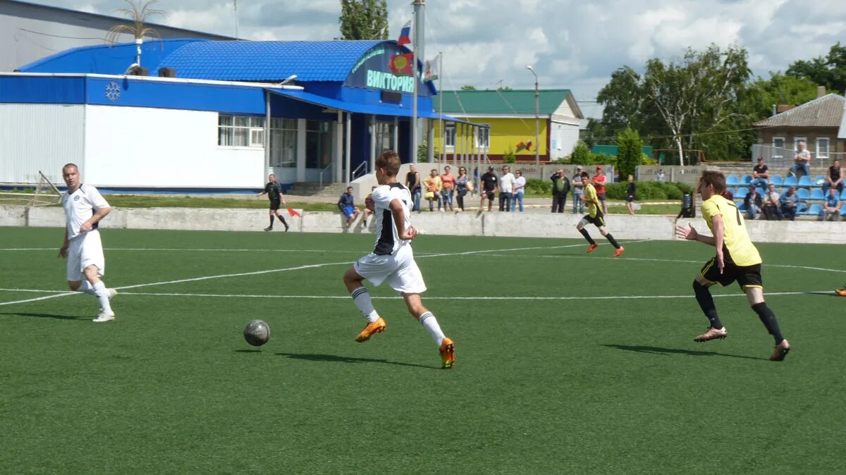 Воскресенский собор (елец). Центральная библиотека елец. Липецкая область вознесенский собор. Елец до революции. Школа хмелинец елецкий район.