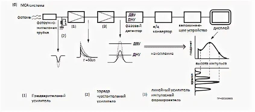 Высота импульса