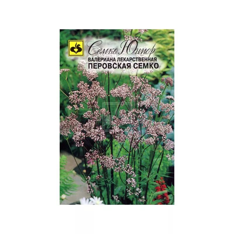 сидс семена интернет магазин. семко интернет магазин. перец ред найт f1. семко профессиональные семена. томат кистевой удар f1 5 шт.