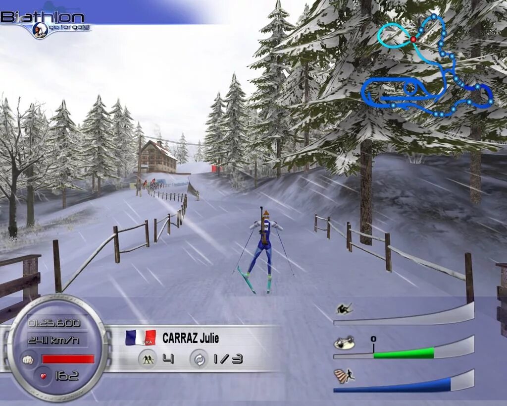 RTL Biathlon 2006. Биатлон 2006 игра. Симулятор биатлона. Биатлон игра на ПК.