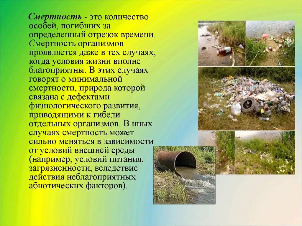 Минимальная смертность. Смертность это в биологии. Примеры смертность в биологии. Рождаемость и смертность популяции. Смертность популяции примеры.