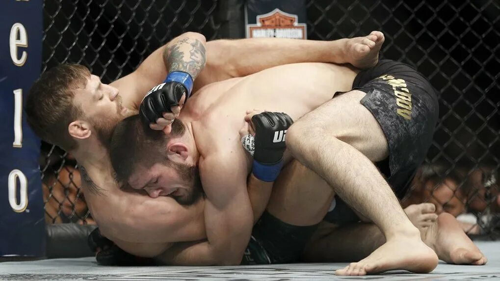 Джиан вилланте. Конор макгрегор ufc 229. Время боя конора хабиба. Время боя конора хабиба. Время боя конора хабиба.