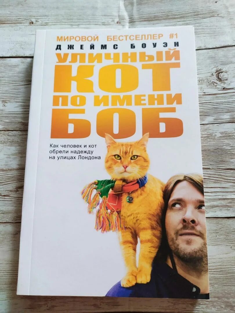 Книга про боба. Боуэн уличный кот по имени Боб.
