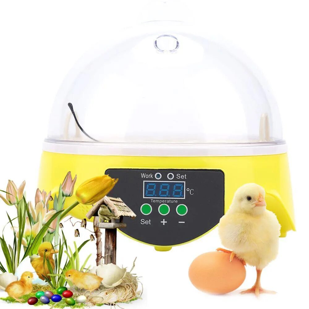 Инкубатор мини Egg LNC. Инкубатор Mini Egg wz12 - 12v автоматический. Mini inkubator китайский 102 яиц. Мини инкубатор с таймером «Ankar TF». Купить инкубатор для яиц хороший