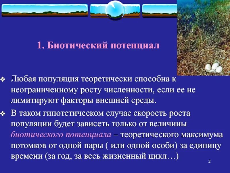 Популяция способна к. Биотический репродуктивный потенциал. Биологический потенциал популяции. Биотический потенциал это в биологии.