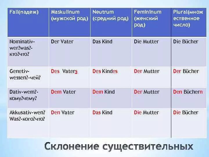 Рожать на латыни. Существительные женского рода в латинском языке. Женский род латынь. Род в латинском языке. Склонение существительных в латинском языке по падежам.