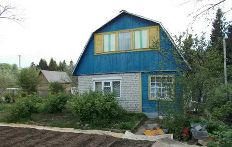 Авито дачи александровка дачи