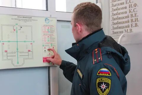 Отслеживание курск