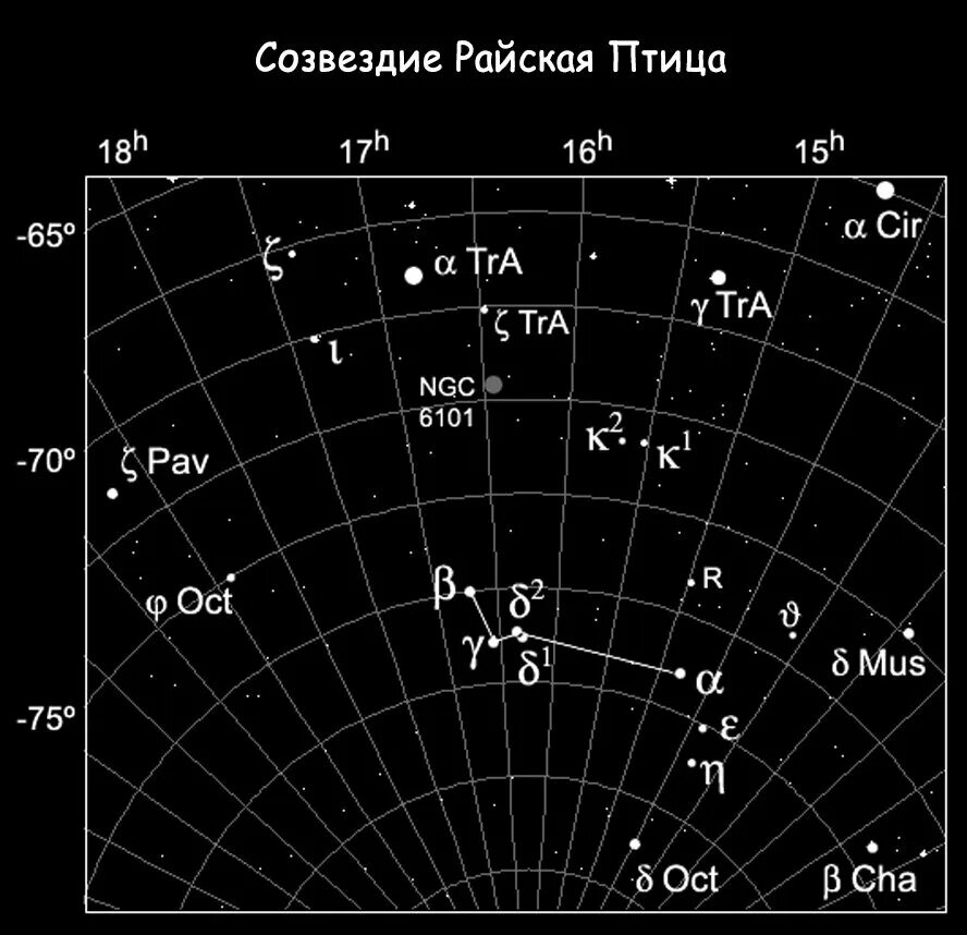 Созвездие тукан. Созвездие Райская птица схема. APUS Созвездие. Созвездие Райская птица фото. Созвездие Райская птица астрономия.