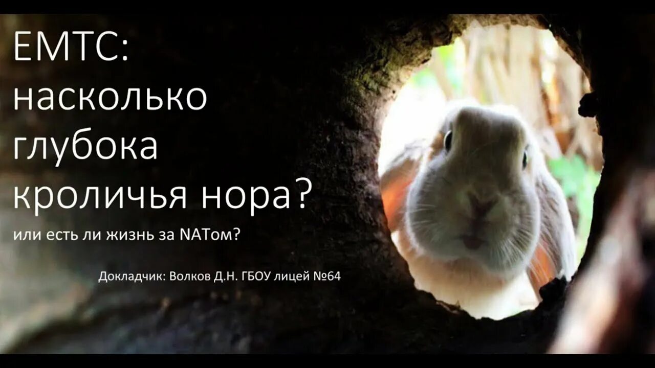 Rabbit hole in farmer's field leads to 'mystery caves' Knights templar, Rabbit h