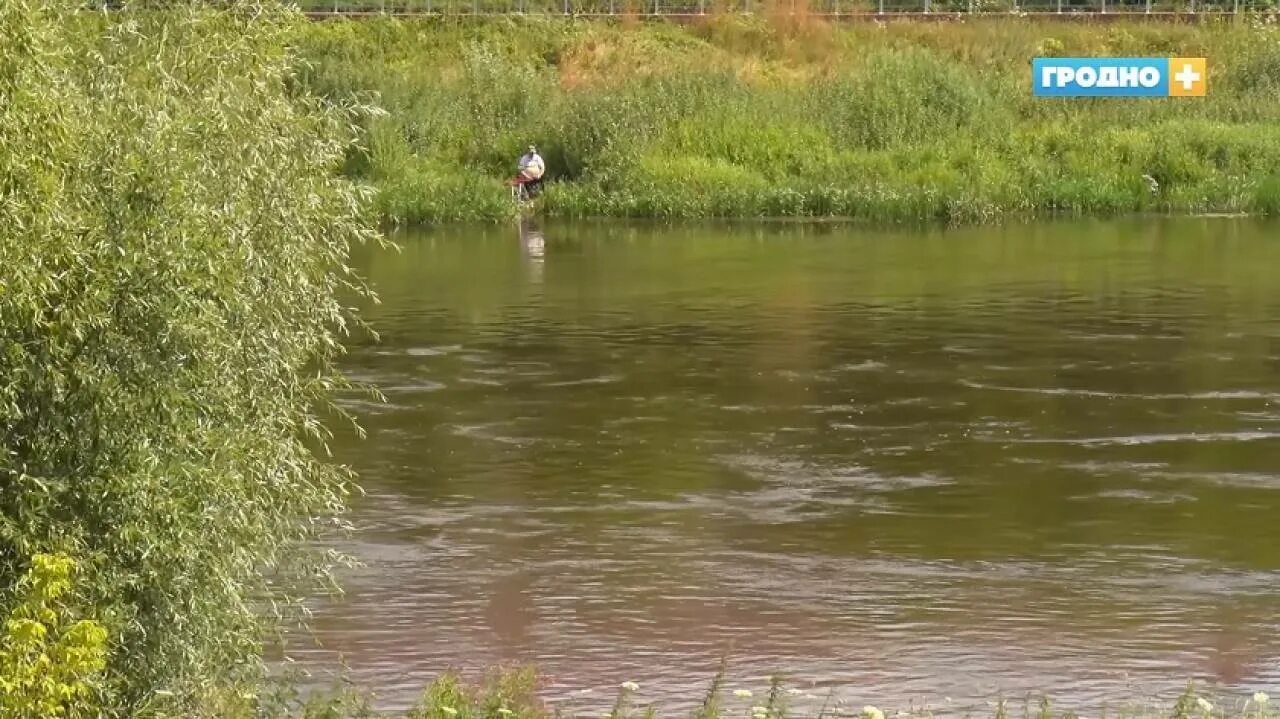 Погода неман на 14 дней калининградская область. Уровень воды в реке Неман Советск. Уровень воды реки Оленгуй. Слуды на реке Плюсса. Неман дивная река.