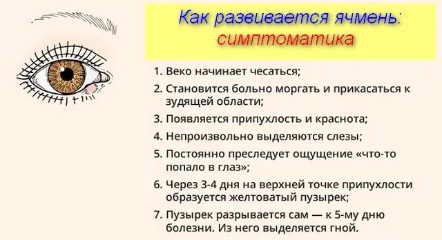 Как вылечить ячмень за день. Заболевания век ячмень.