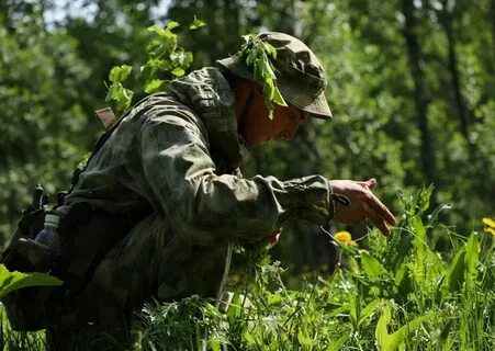 Где найти лазутчик