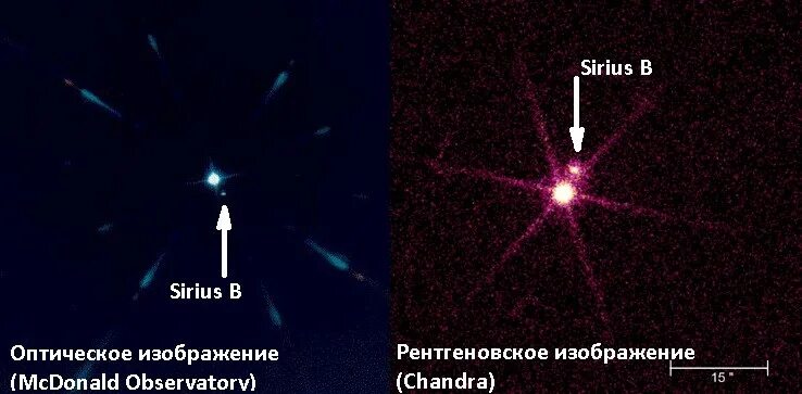 звёзды вега, сириус, арктур, полярная звезда. сириус звезда. сообщение о звезде сириус. сириус примеры. сириус тройная звезда.