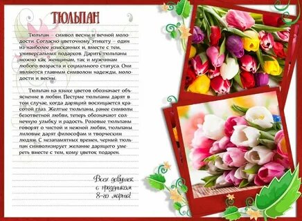 Язык цветов тюльпаны