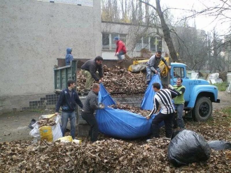 Вывезти листву