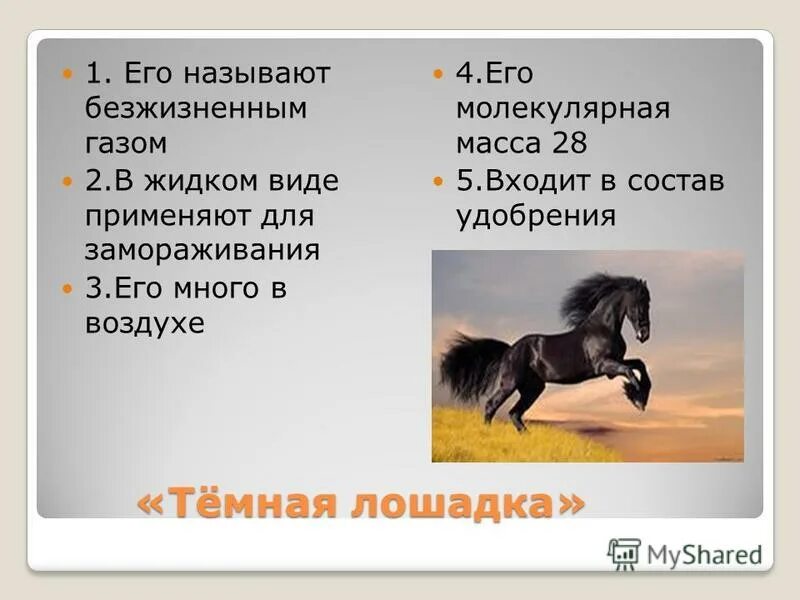 Темная лошадка картинка к фразеологизму. Выражение темная лошадка. Темная лошадка значение фразеологизма. Конкурс темная лошадка. Выражение темная лошадка.