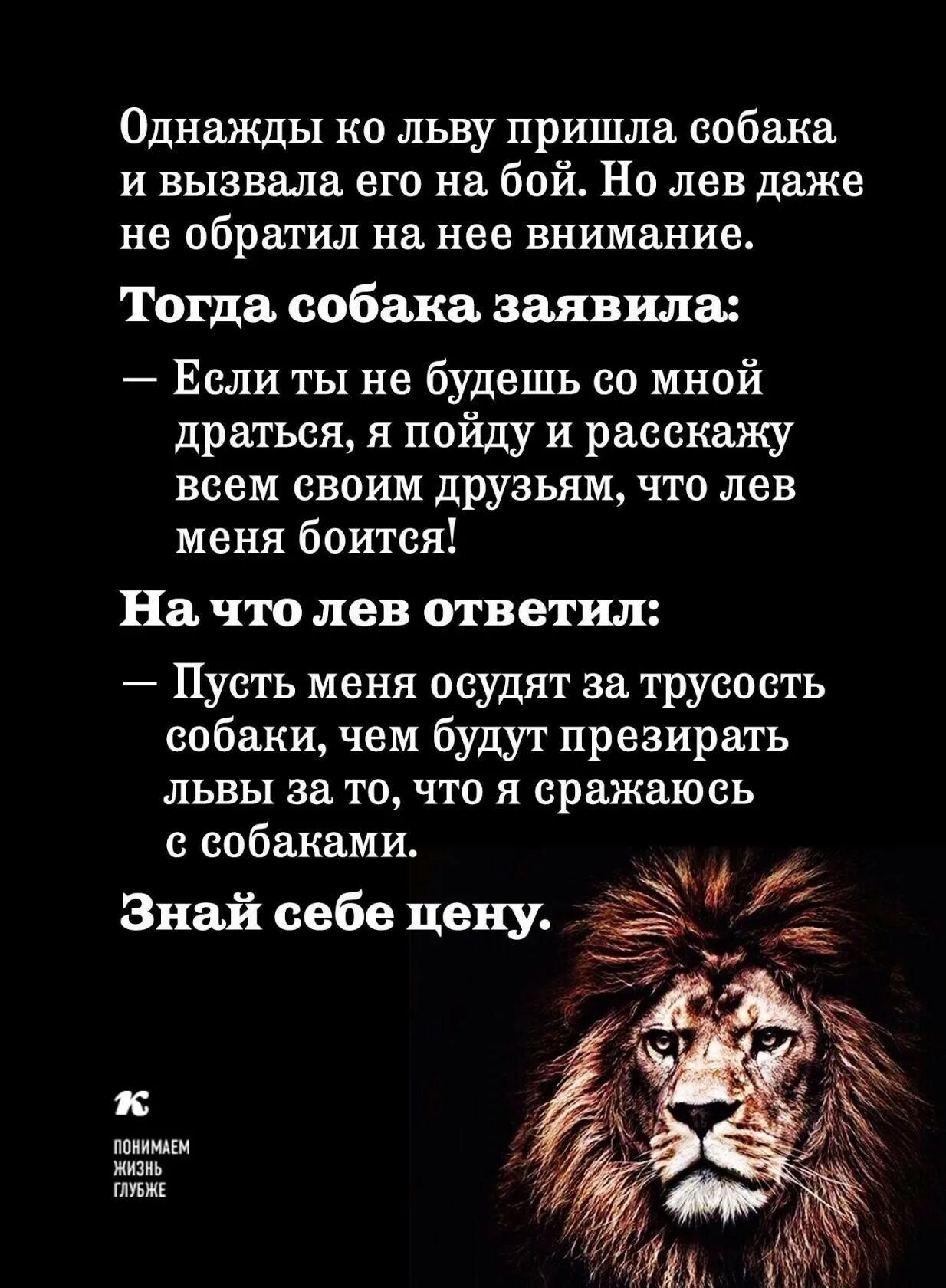 Продолжите фразу льва
