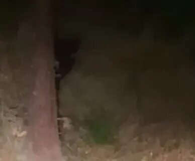 Ее королевская тень за 46 дверью