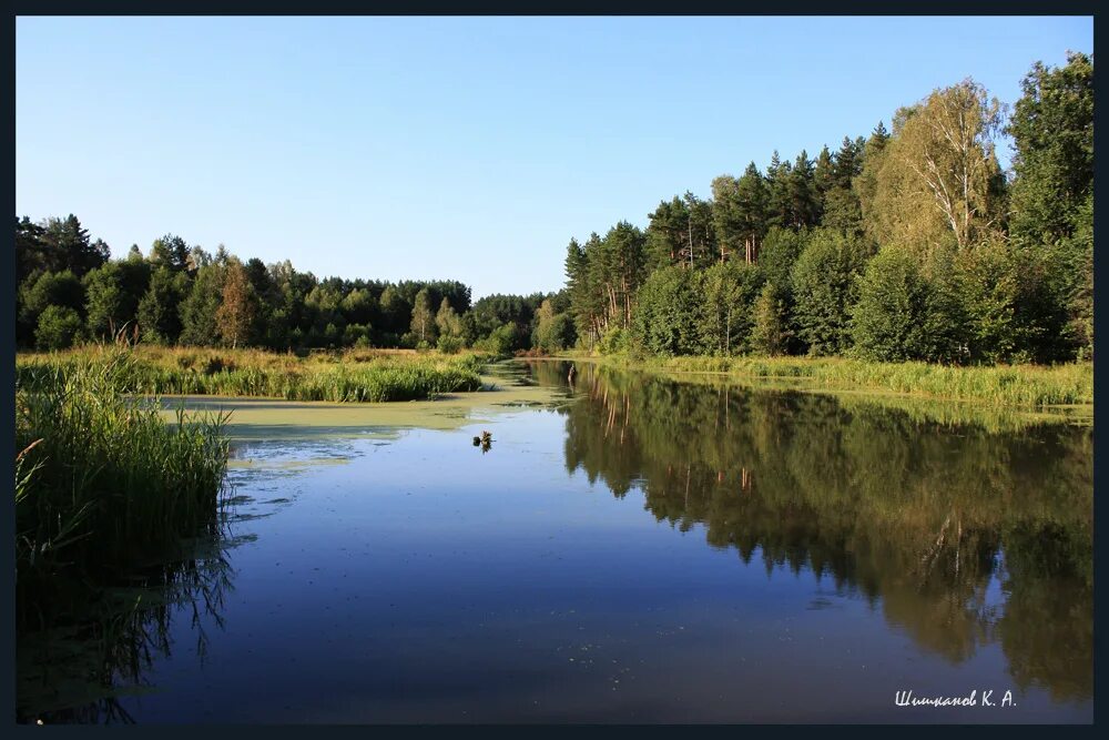 Рыбе – вода, птице – воздух, зверю – лес, степи, горы. Рыбе-вода птице-воздух зверю-лес. Рыбе вода птице воздух зверю лес степь горы а человеку. Рыбе нужна вода птице воздух. Рыбам нужен воздух