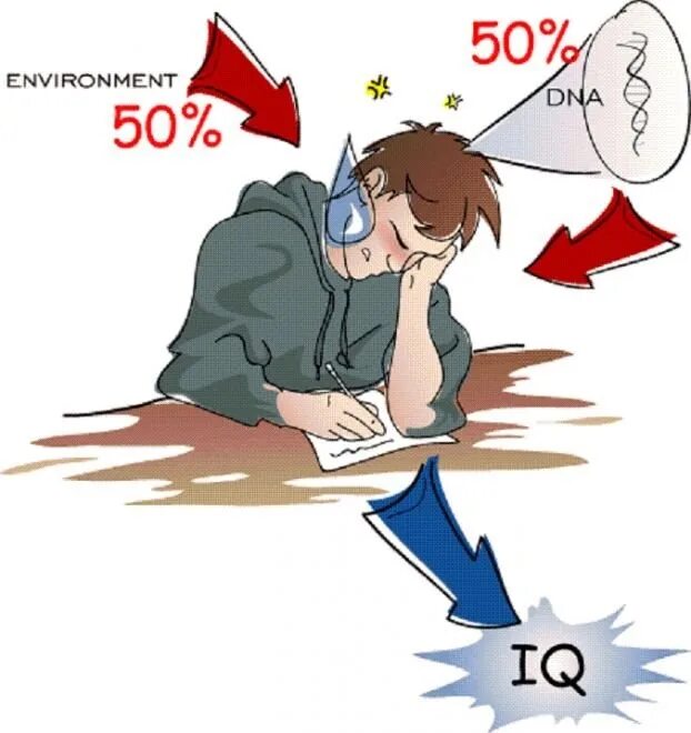 Айкью мозга. IQ прикол. Шутки про IQ. Айкью картинки. Что такое айкью у человека.