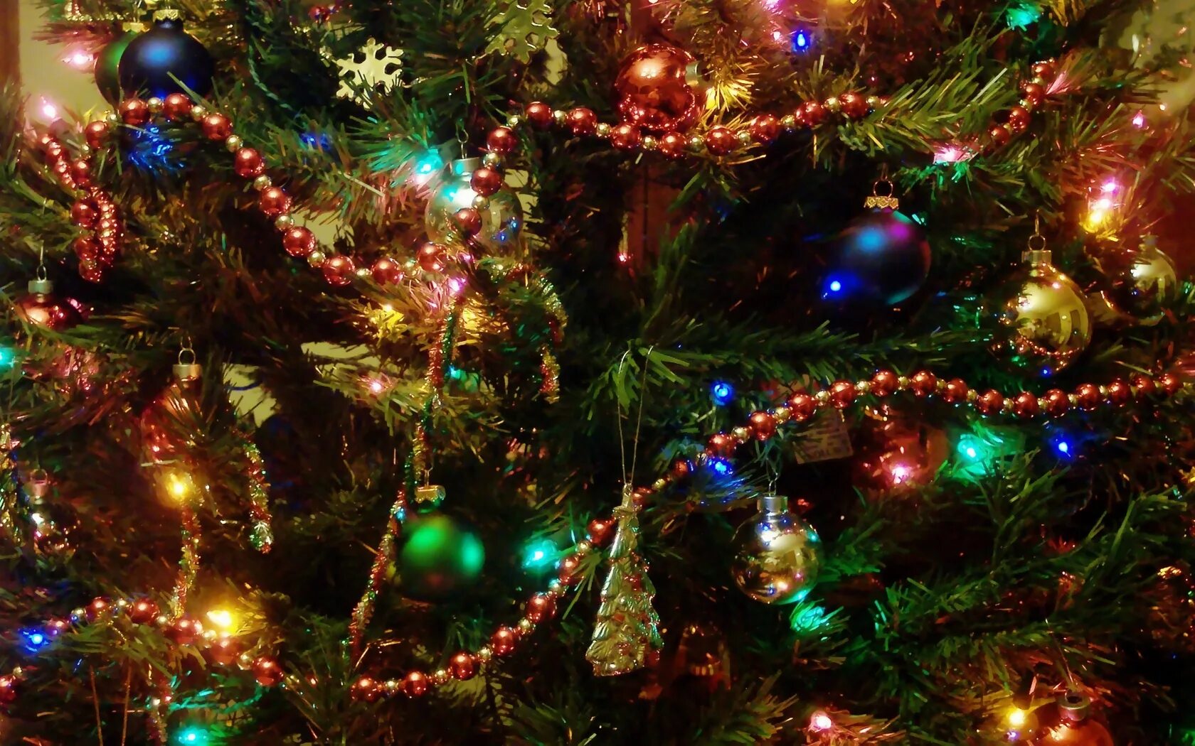 Фотки новогодней елки. Новогодняя елка. Новогодняя елка с гирляндой. Новогодняя елка с огоньками. Новый год елка.