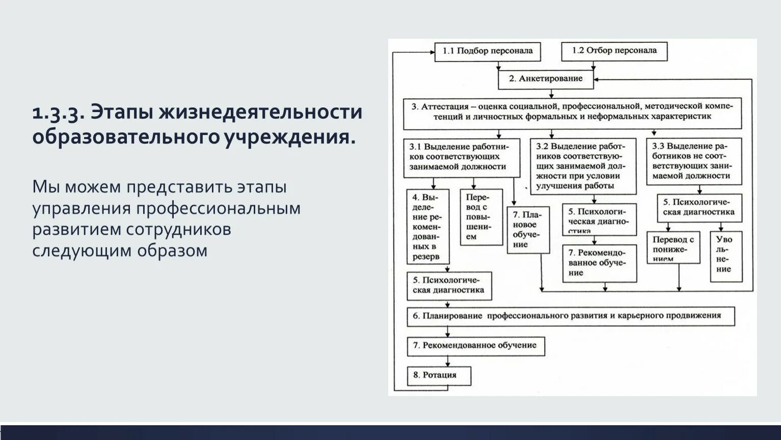 Этапы развития управления образовательной организации. Этапы создания образовательного учреждения. Формы развития персонала. Этапы жизнедеятельности школы..