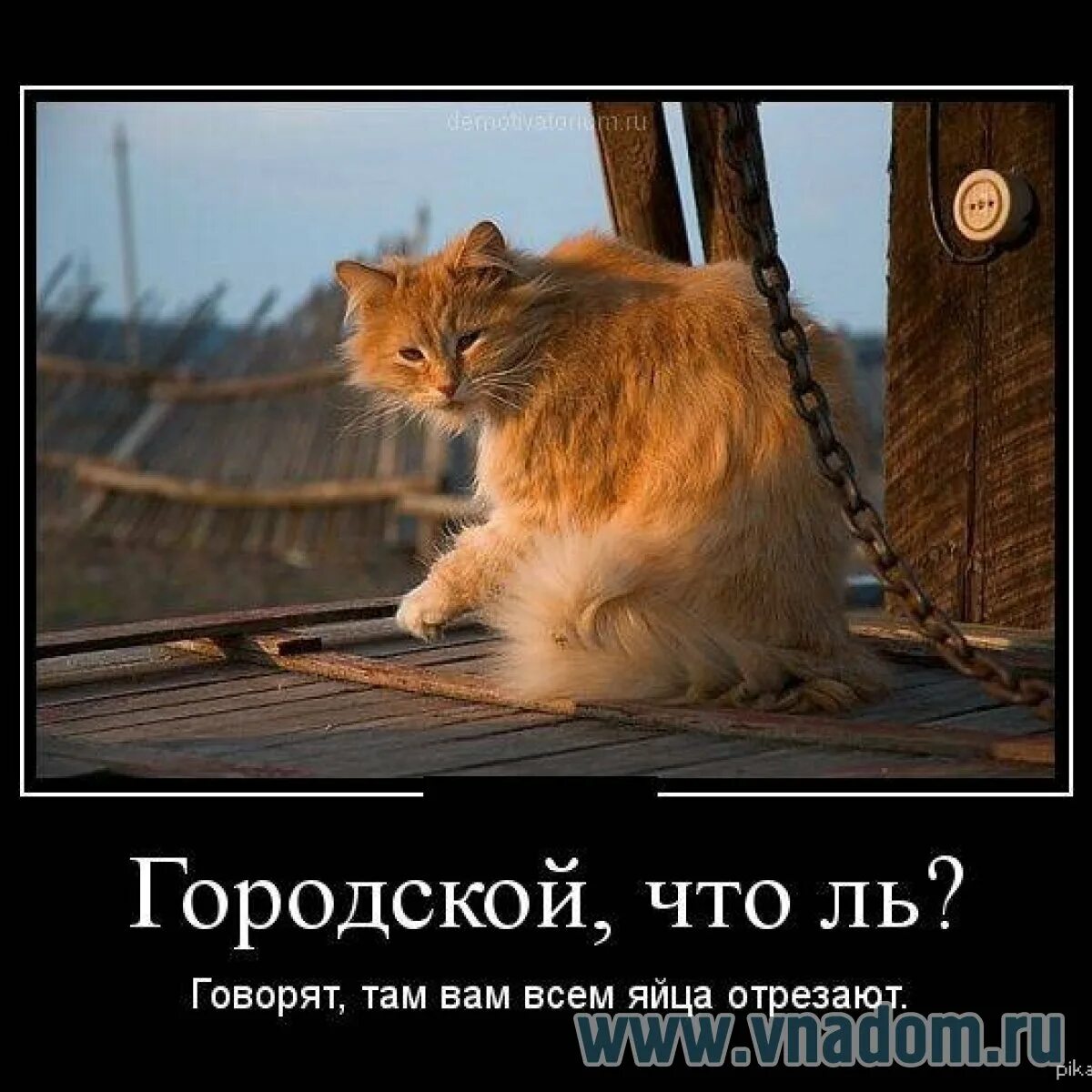 Говори что там написано