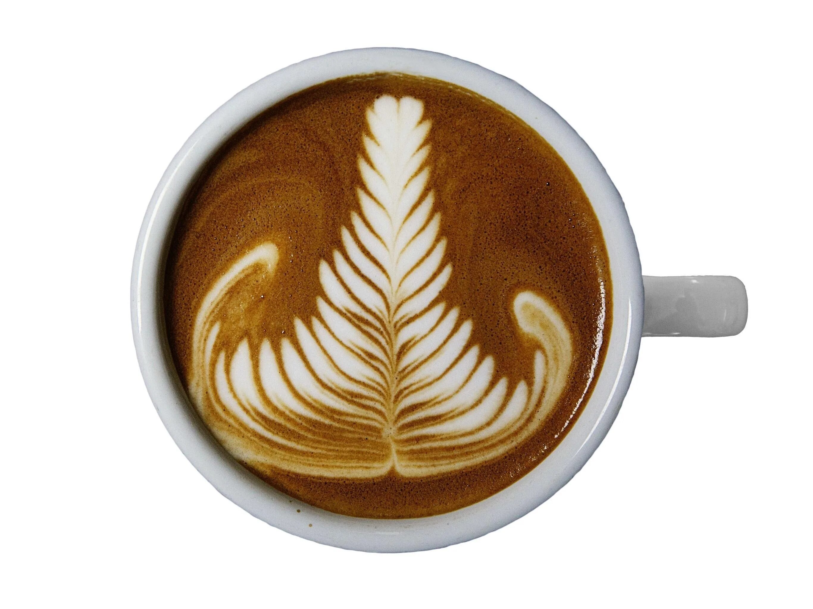 Розетта кофе. Movenpick Latte Art. Розетта латте арт. Латте арт этчинг. Мовенпик кофе латте арт.