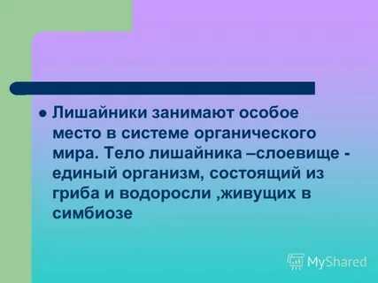 Занимает особое место в жизни