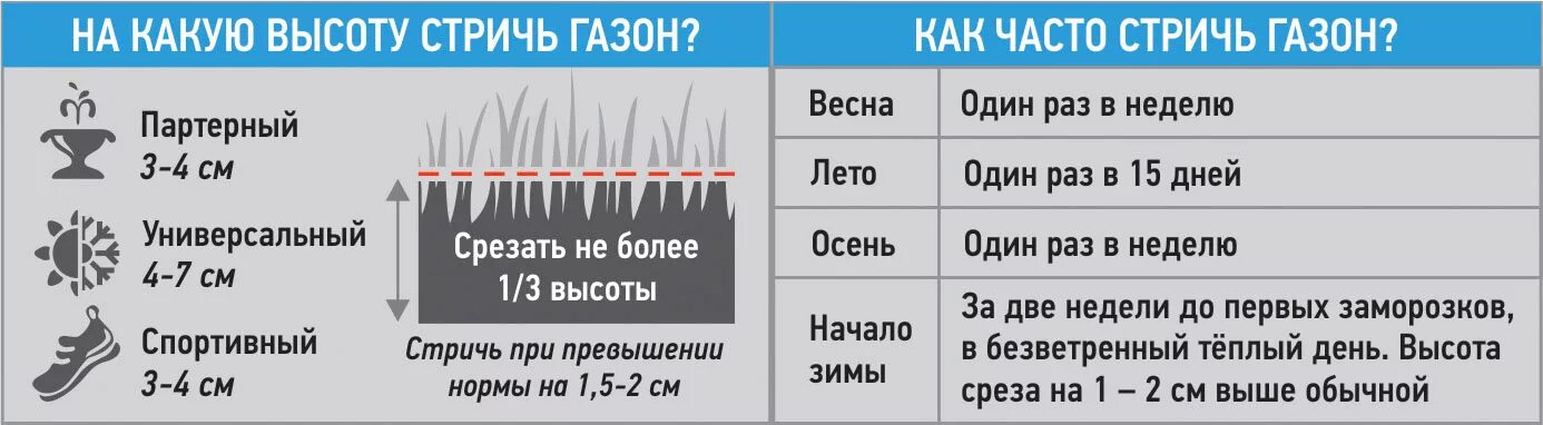 Высота стрижки газона. Оптимальная высота стрижки газона. Нормы стрижки газона. График стрижки газонов. Расход газонной травы на 1 м2