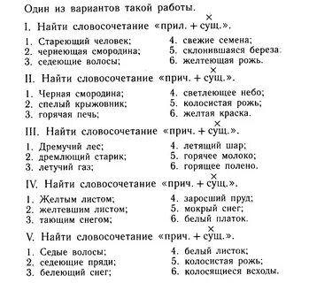 Тематический зачет по теме наречие 1 вариант