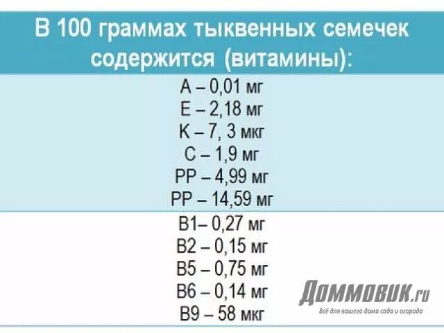 Какие витамины содержатся в тыквенных семечках. Отличие тыквенных семечек от кабачковых. Что содержится в 100 граммах тыквы.