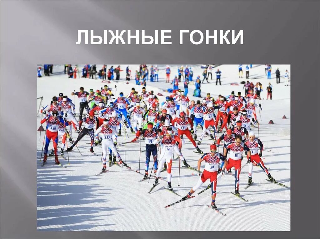 Лыжные гонки доклад кратко. Лыжные гонки доклад кратко. Лыжные гонки доклад. Презентация на тему лыжные гонки. Доклад на тему лыжные гонки.