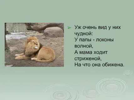 Загадка папа важный краснолапый мама