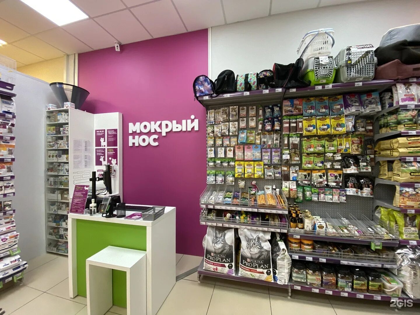 мокрый нос обнинск