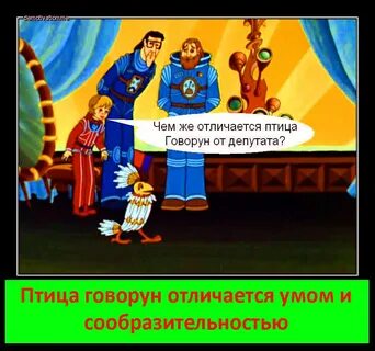 Птица говорун отличается умом