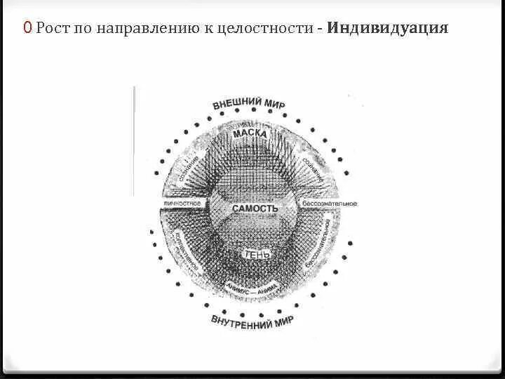 Самость юнга