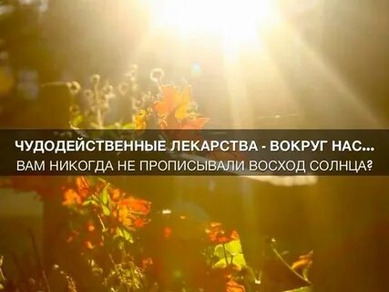 Солнце никогда не восходит