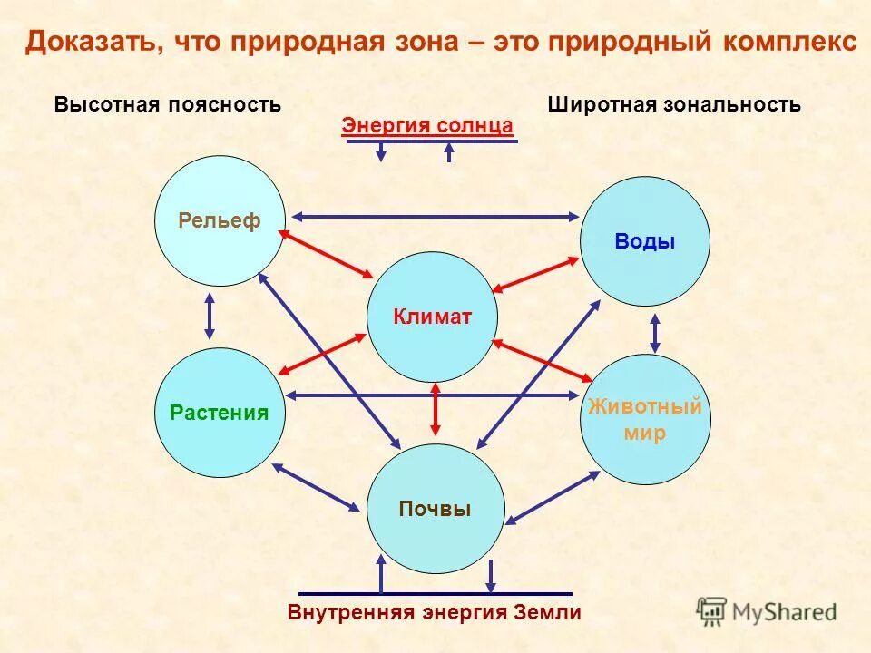 7 компонентов природы. Схема природного комплекса. Схема природного территориального комплекса. Взаимосвязь компонентов природы. Схема природных компонентов.