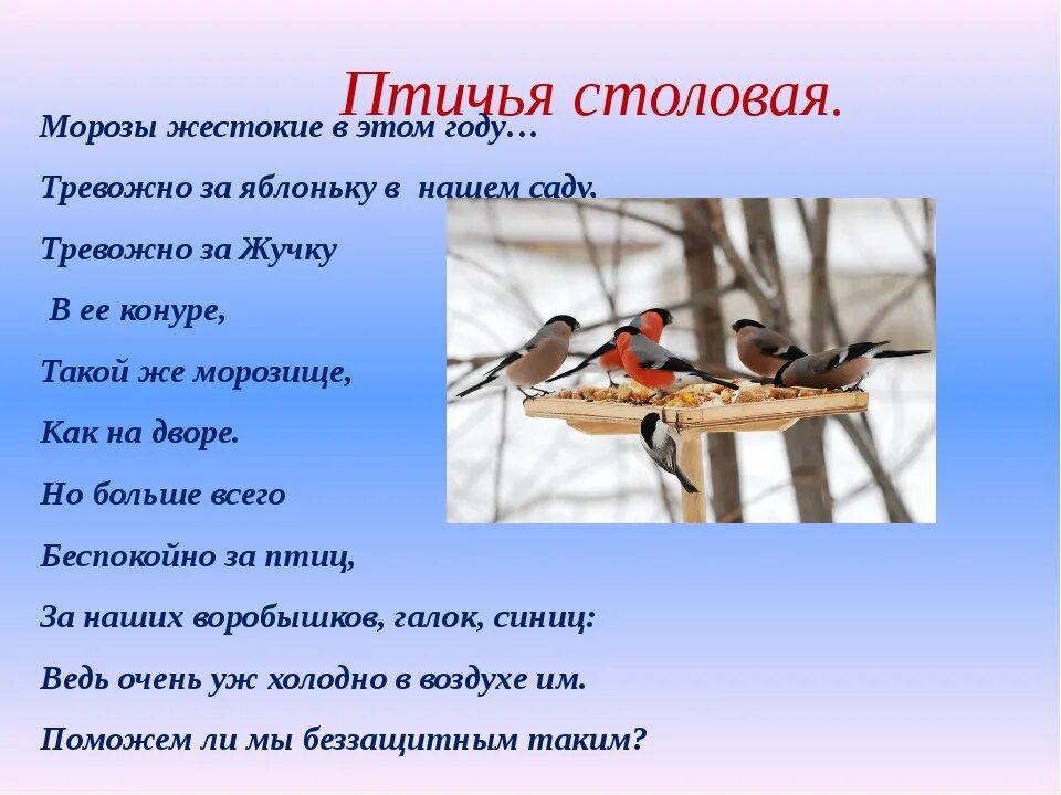 Стихотворения птицы зимой. Мокшин Птичья столовая. Птичья столовая стихотворение. Птицы зимой. Столовая для зимующих птиц.