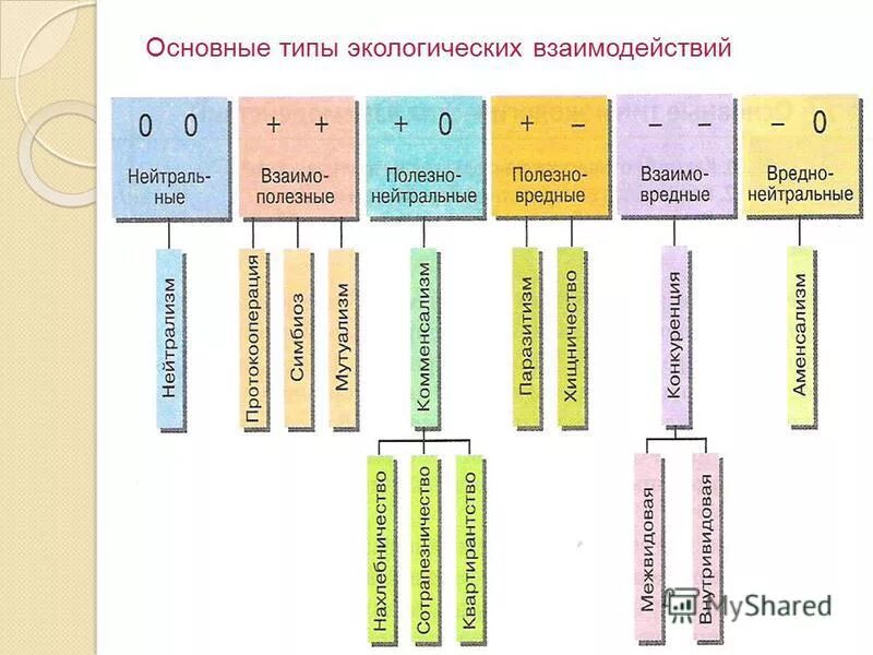 основные типы экологических взаимодействий схема. составьте схему «основные типы экологических взаимодействий». типы экологических взаимодействий. таблица 9 - типы биотических взаимодействий. типы экологических взаимодействий.