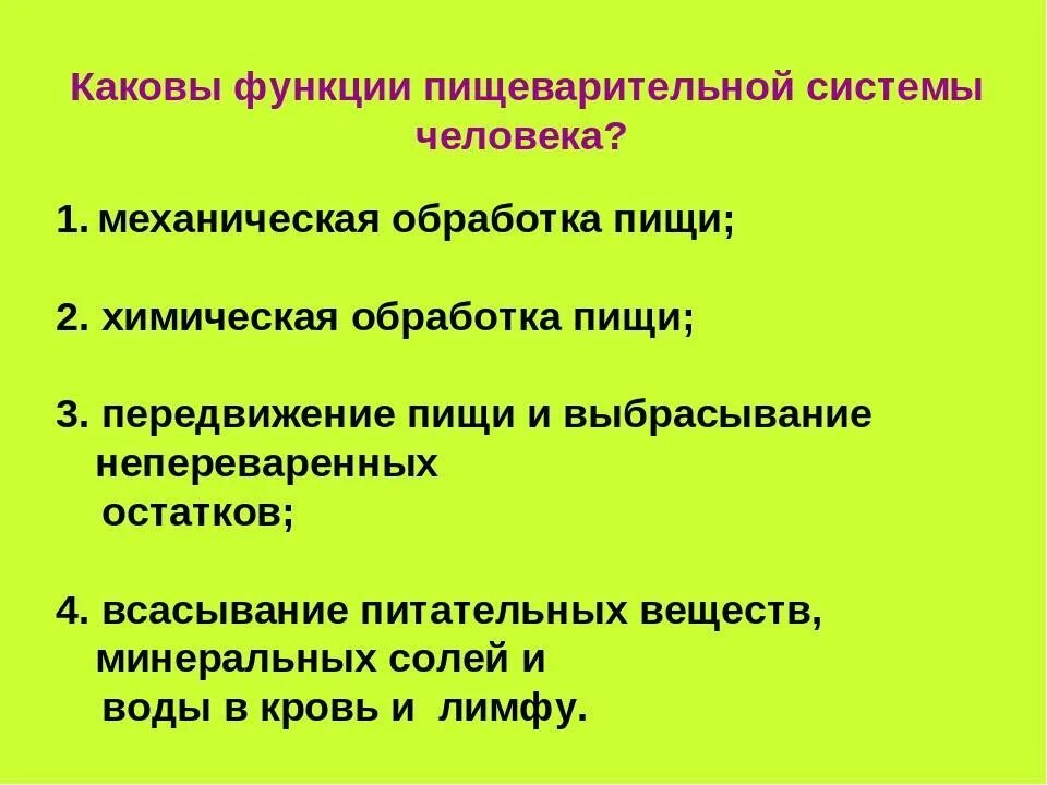 Каково значение в организме. Функции пищеварительной системы человека. Система органов пищеварения выполняет функции. 3 Функции пищеварительной системы. 4 Основные функции пищеварительной системы.