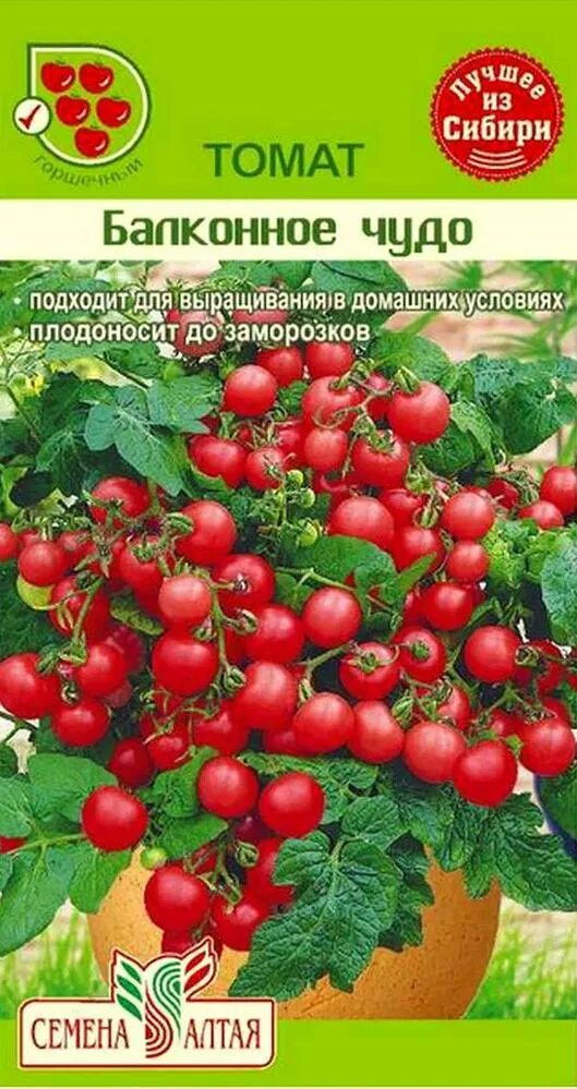 Балконное чудо описание сорта. Семена помидор балконное чудо. семена томат балконное чудо. семко семена томат балконное чудо. томат балконное чудо 0,1гр седек.