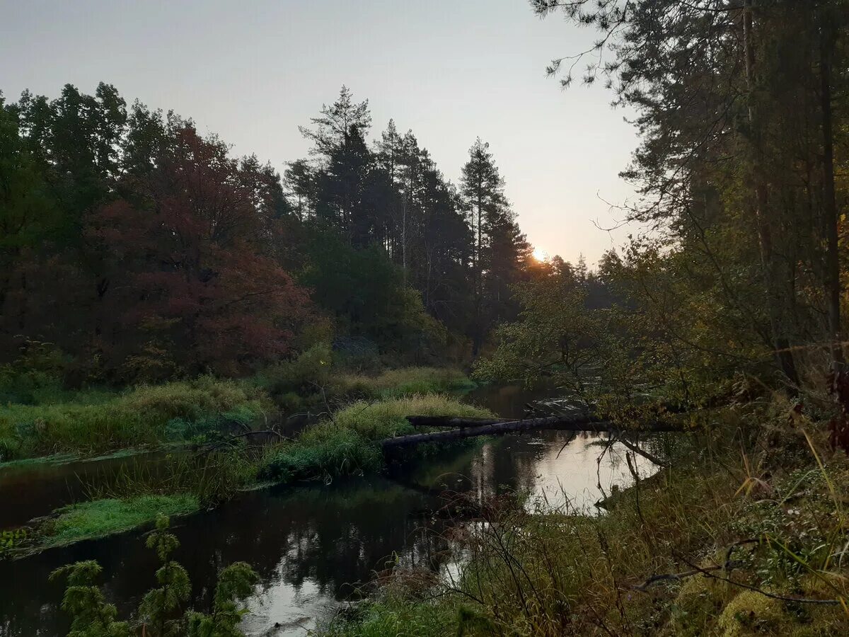 Речка Сережа в Нижегородской области.