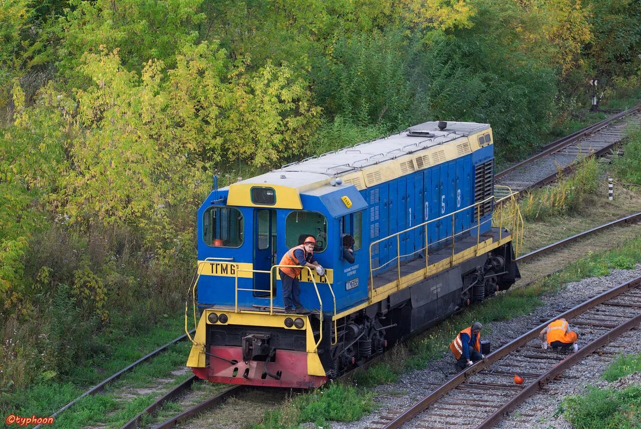 Тгм 6 1133. Тгм 6а. Тгм6 1141. Тгм6а-2231. Тгм6 тепловоз.