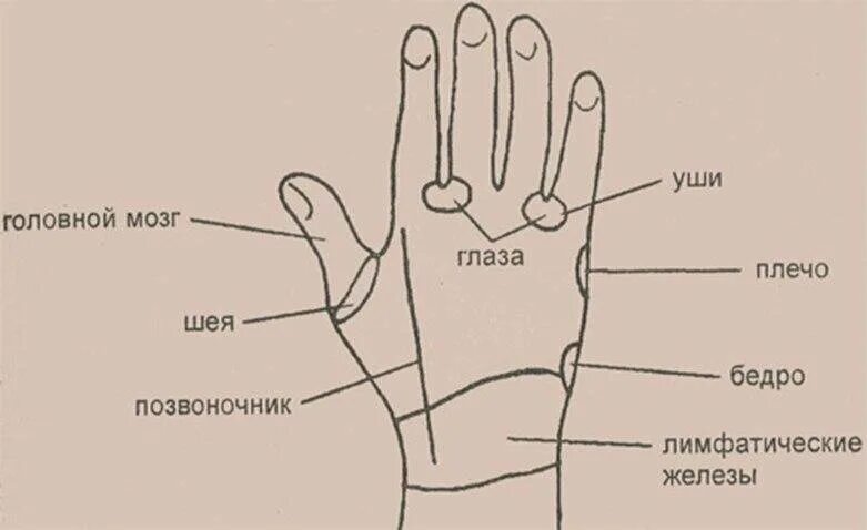 Точка спины на руке. Болевые точки для массажа. Точка спины на руке. Акупунктура при дцп точки. Точка спины на руке.